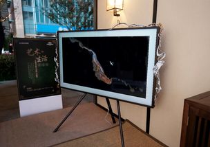 三星跨界故宮設(shè)計師開啟藝術(shù)生活,雙11電視刮宮廷風(fēng)