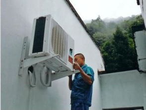 19日 19日的分類