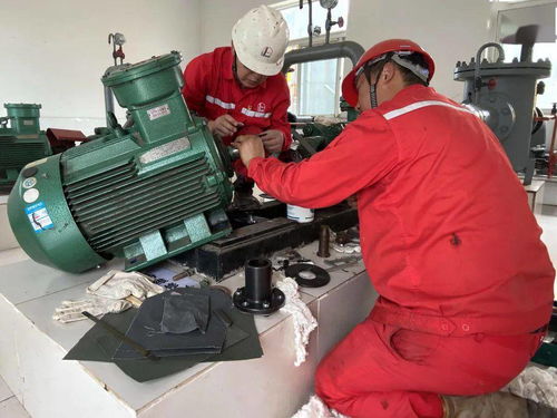 15組數字,告訴你