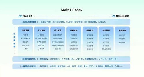 從冰點(diǎn)到燎原 HR SaaS三十余年破局之路